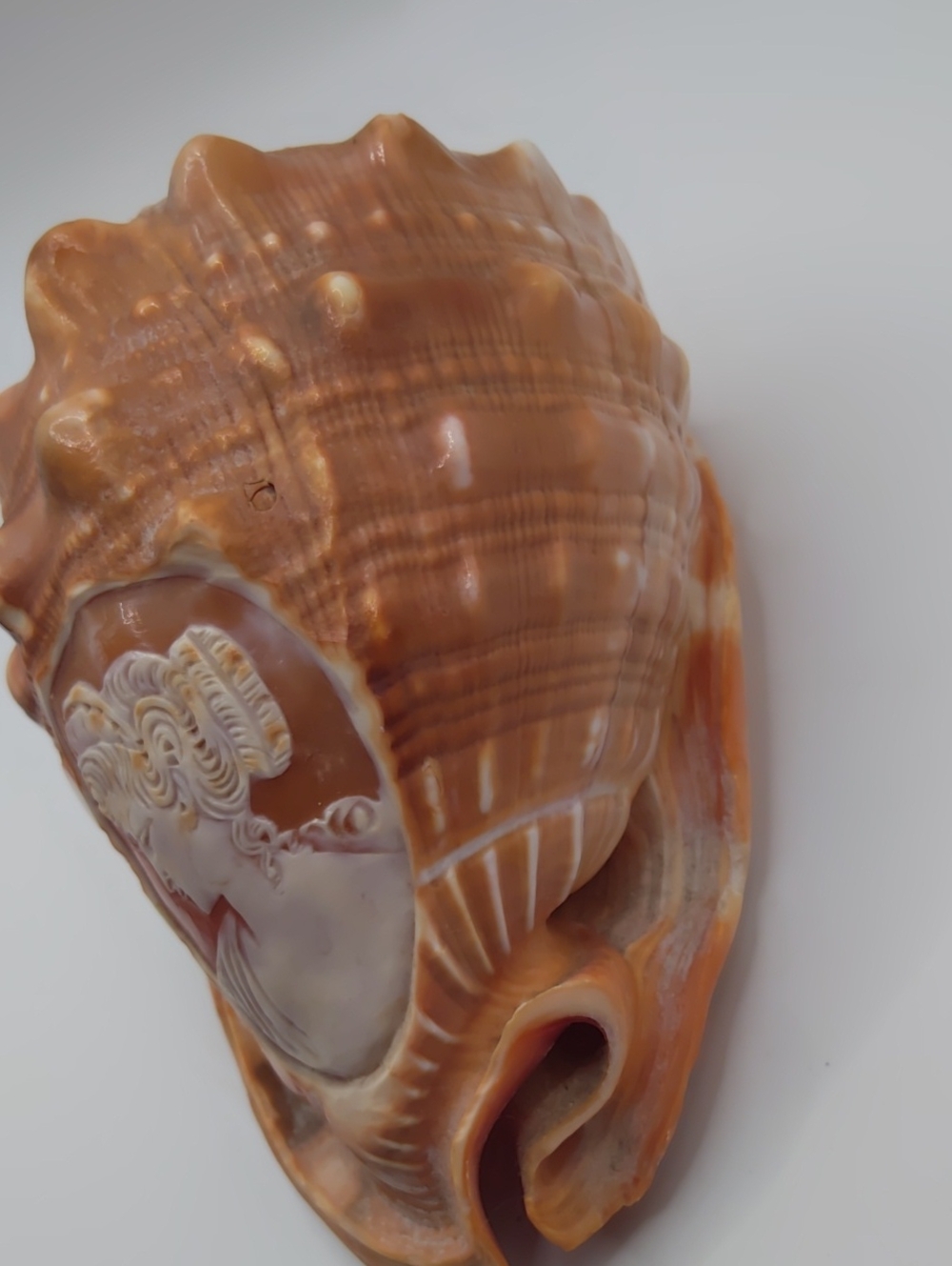 Hand Carved Shell Cameo Made In Italy - Picture 3 of 7